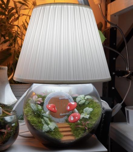 ابجورة بلاد العجائب