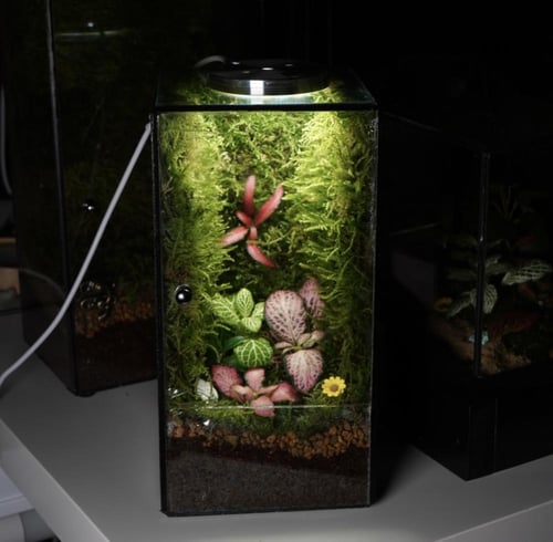 العالم الموازي مع اضاءة