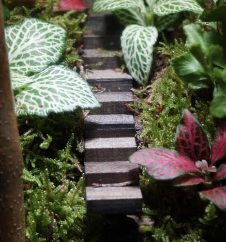 غابة الأطلال مع إضاءة