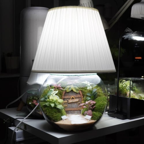 ابجورة غابة العجائب