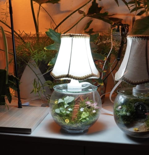 أبجورة غابة الكوخ