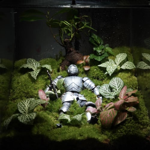 خاتمة الأبطال