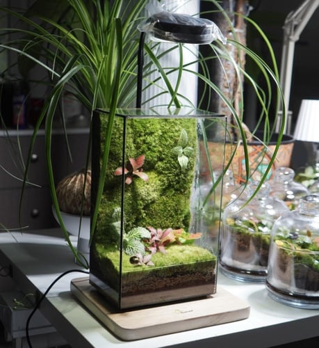 العالم الموازي