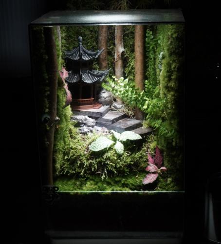 أعماق الغابة