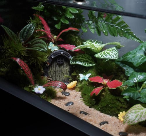 غابة الجنيات مع اضاءة