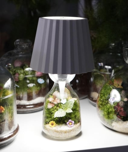 الفانوس العجيب (صغير )