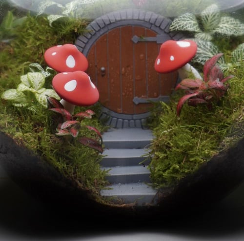 ابجورة بلاد العجائب