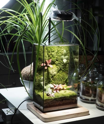 العالم الموازي