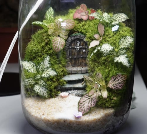 ابجورة تيراريوم بوابة عالم الأقزام