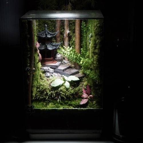 أعماق الغابة