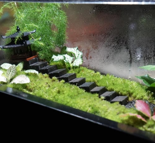 غابة الطبيعة اليابانية مع اضاءة