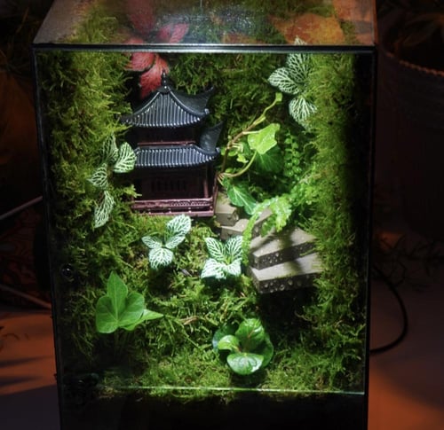 أعماق الغابة