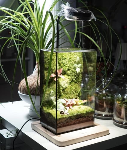 العالم الموازي