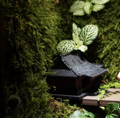 أعماق الغابة