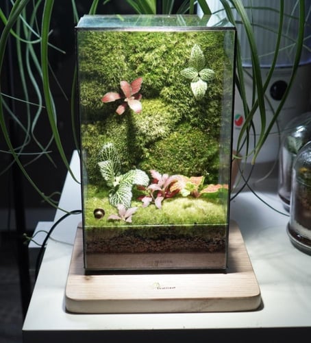 العالم الموازي