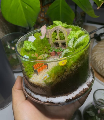 الحديقة السرية (صغير )