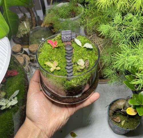 تيراريوم غابة الكوخ المرتفع درج ( رصاصي )