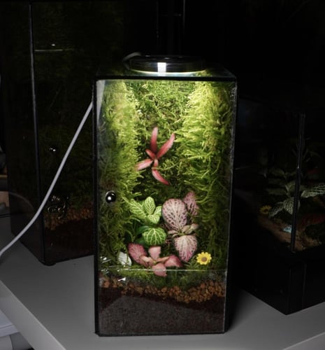 العالم الموازي مع اضاءة