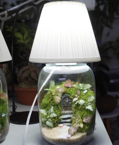 ابجورة تيراريوم بوابة عالم الأقزام