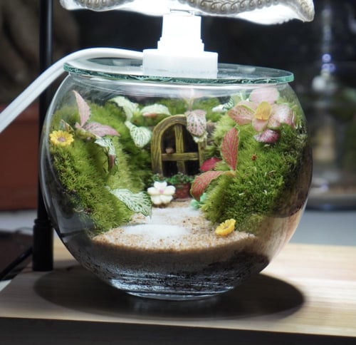 ابجورة الحديقة السرية (صغير)