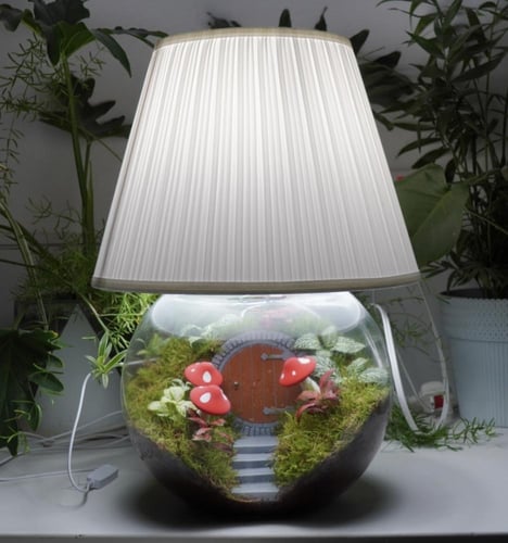 ابجورة بلاد العجائب