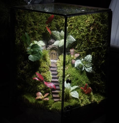 غابة اليرعات