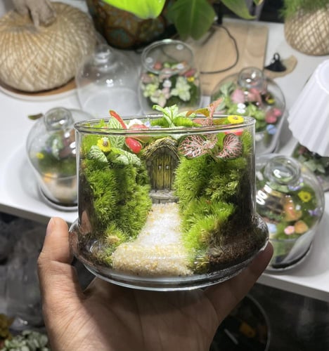 منزل الساحرة