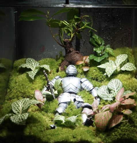 خاتمة الأبطال