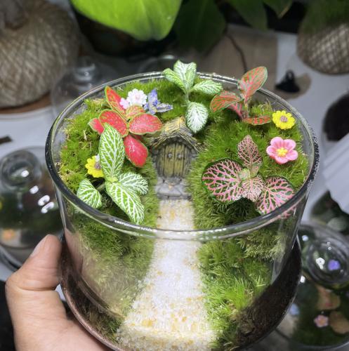 منزل الساحرة