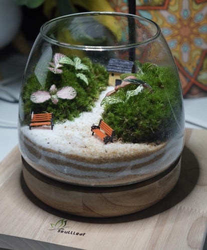 غابة حديقة المنزل