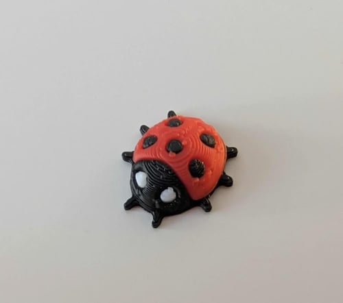 ديكور حشرة ( ليدي بق ) 5 قطع