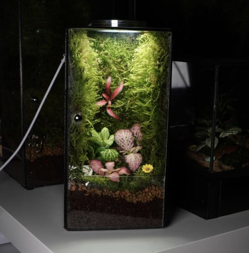 العالم الموازي مع اضاءة