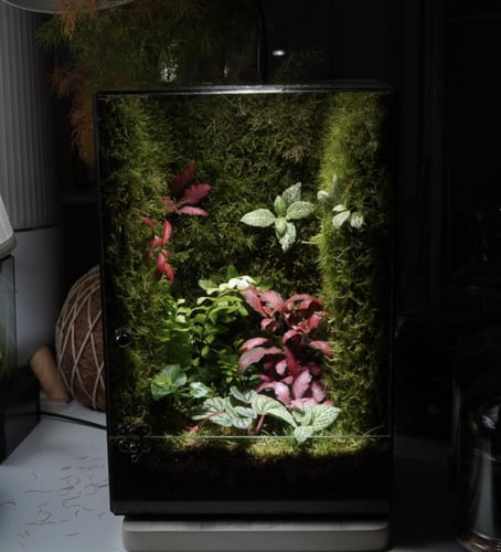 العالم الموازي ( كبير )