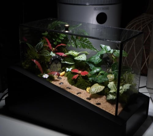 غابة الجنيات مع اضاءة