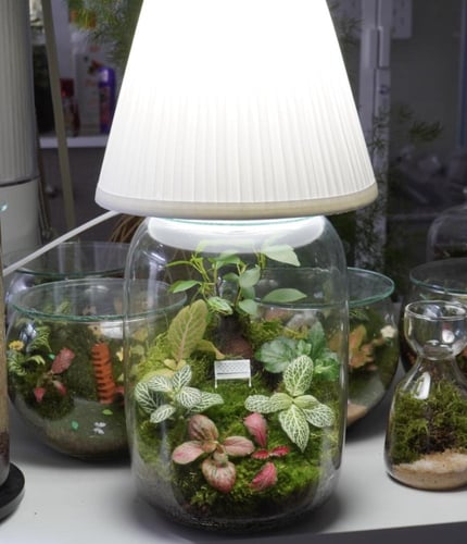 أبجورة شجرة الذكريات