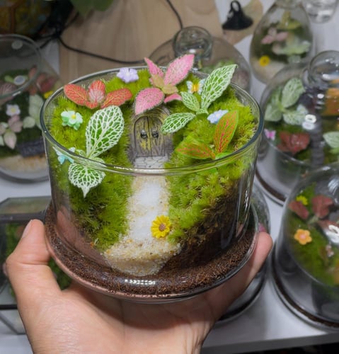 منزل الساحرة