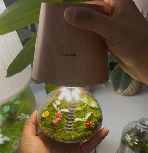 أبجورة الغابة المضيئة ( صغير )