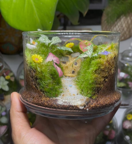 غابة وادي الكوخ