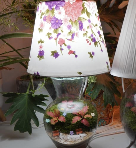 ابجورة عالم الاقزام