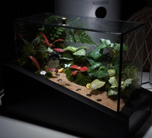 غابة الجنيات مع اضاءة