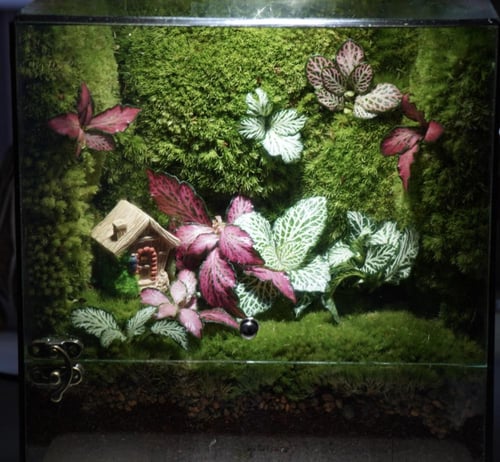 غابة المنزل السعيد