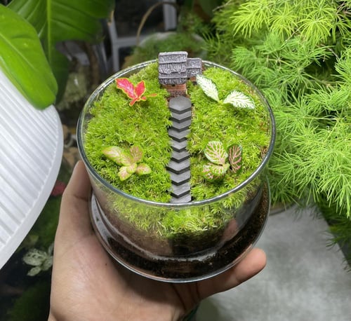 تيراريوم غابة الكوخ المرتفع درج ( رصاصي )