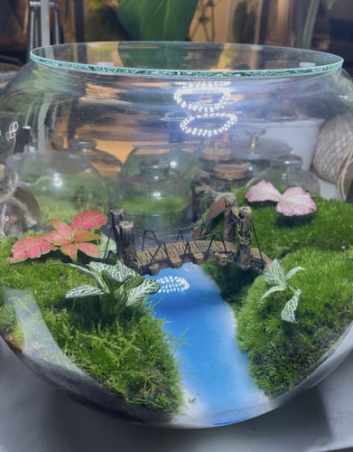 تيراريوم جسر الاحلام