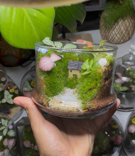 غابة وادي الكوخ