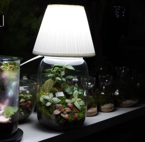 أبجورة شجرة الذكريات