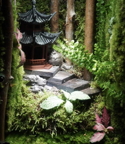 أعماق الغابة