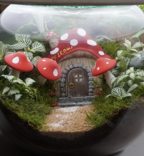 ابجورة غابة السنافر . ( كبيرة )