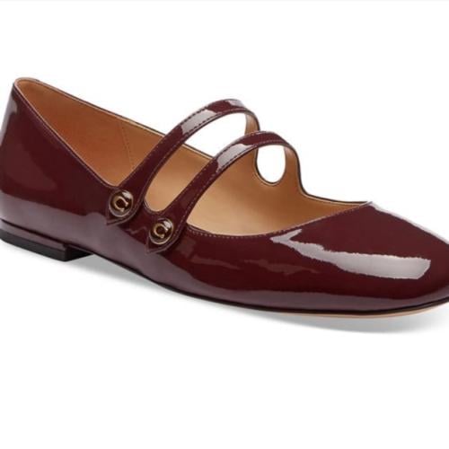 فلات كوتش winley فوري