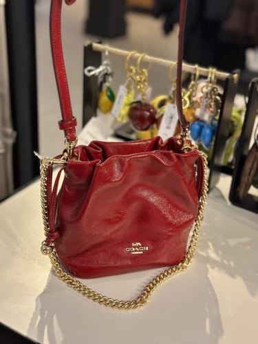 حقيبة كوتش فاي بوكت تصل خلال ٢-٤ أسابيع Faye Mini...