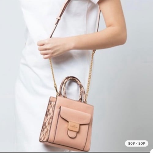 شنطة كوتش ميني بيبر ساتشل فوري